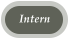 Intern