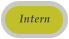 Intern